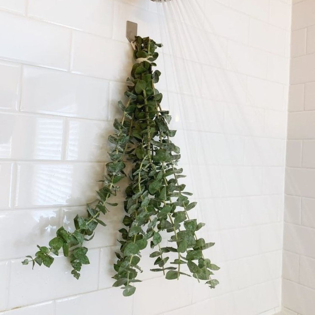 Handcrafted Dried Eucalyptus Green Flower Decor Bunch