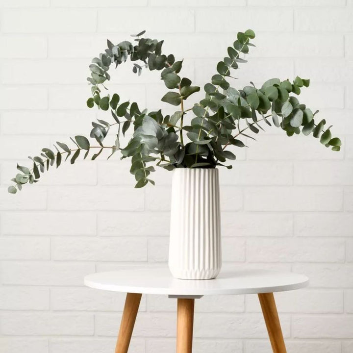 Handcrafted Dried Eucalyptus Green Flower Decor Bunch