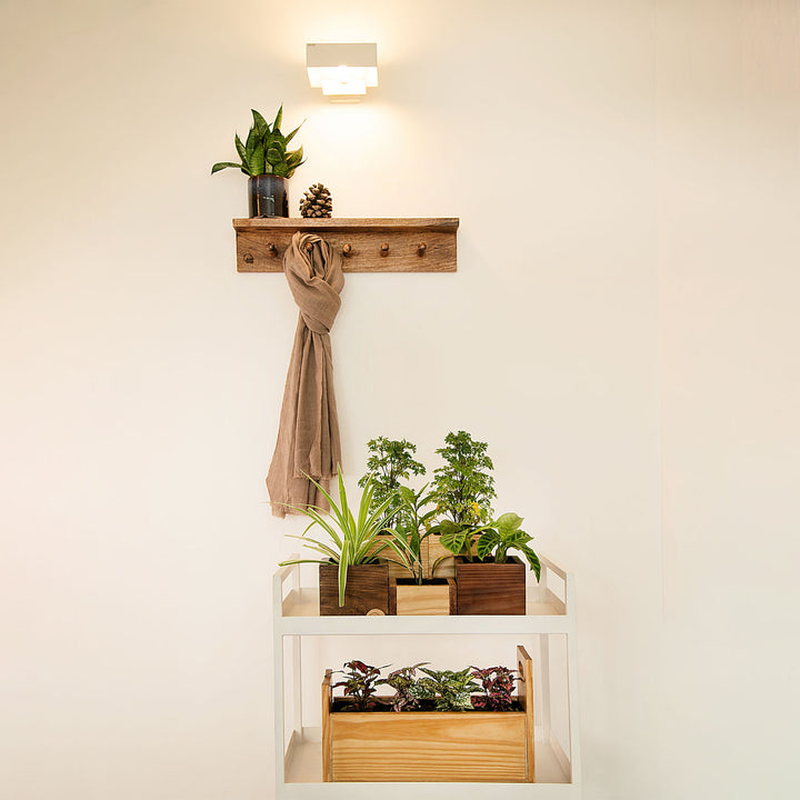 Mango Wood Clothes Hanger & Wall Shelf