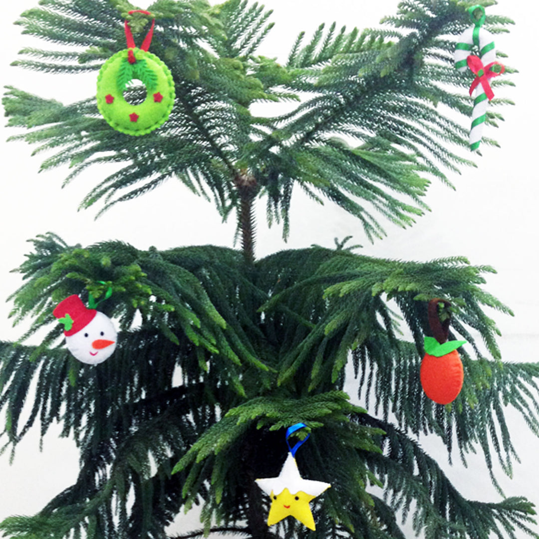 Handmade 3D Colourful Assorted Felt Ornaments For Christmas Tree Decoration | Set Of 5