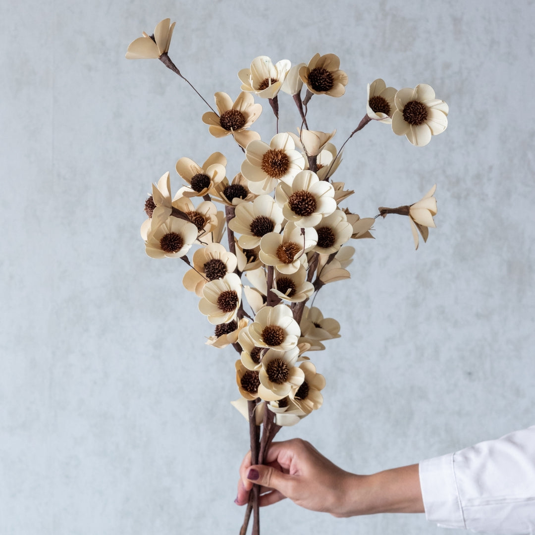 Handmade White Sunflower Dried Flower Bunch | Set Of 5