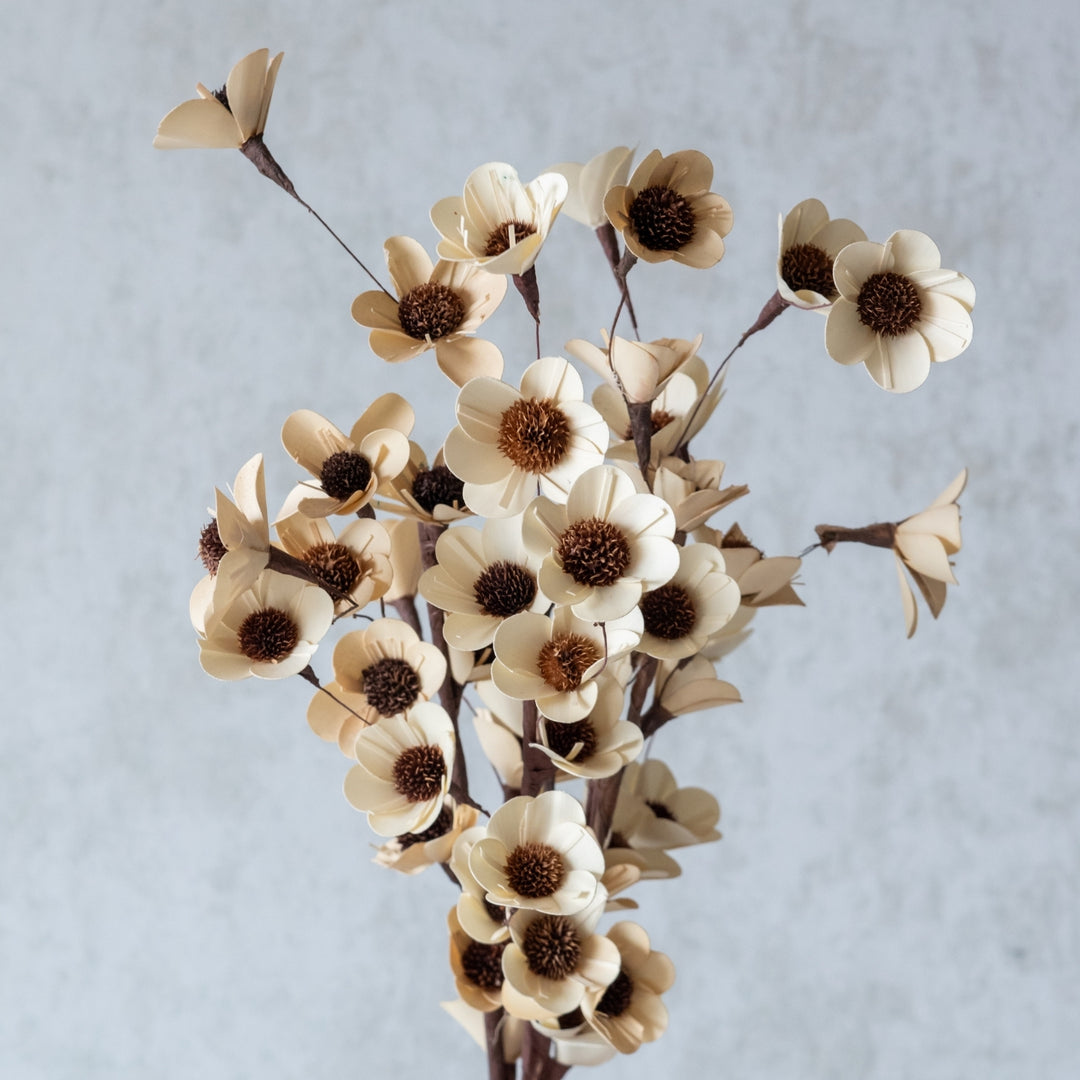 Handmade White Sunflower Dried Flower Bunch | Set Of 5