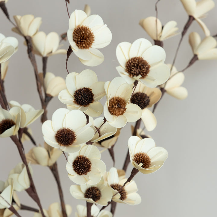 Handmade White Sunflower Dried Flower Bunch | Set Of 5
