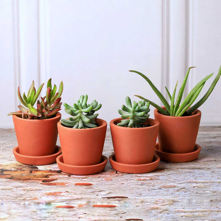 3.5 Inches | Handmade Small Cone Shaped Terracotta Planter Pots | Set Of 4