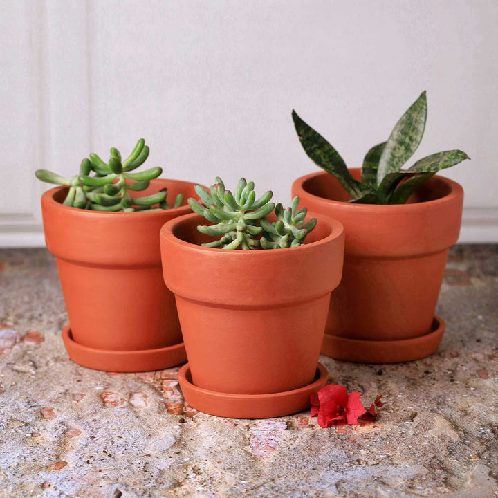 6 Inches | Handmade Medium Gamala Terracotta Planter Pots | Set Of 3