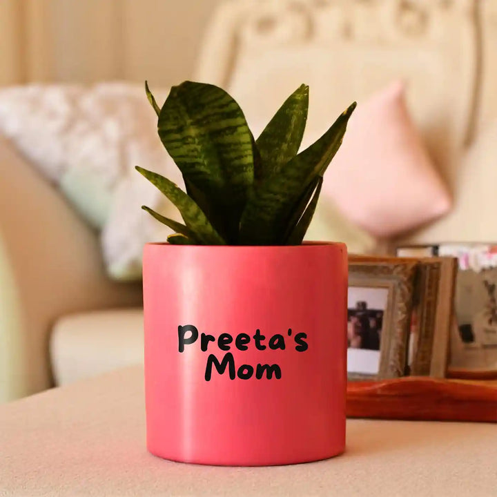 Personalized Hand-Painted Mom Theme Terracotta Planter