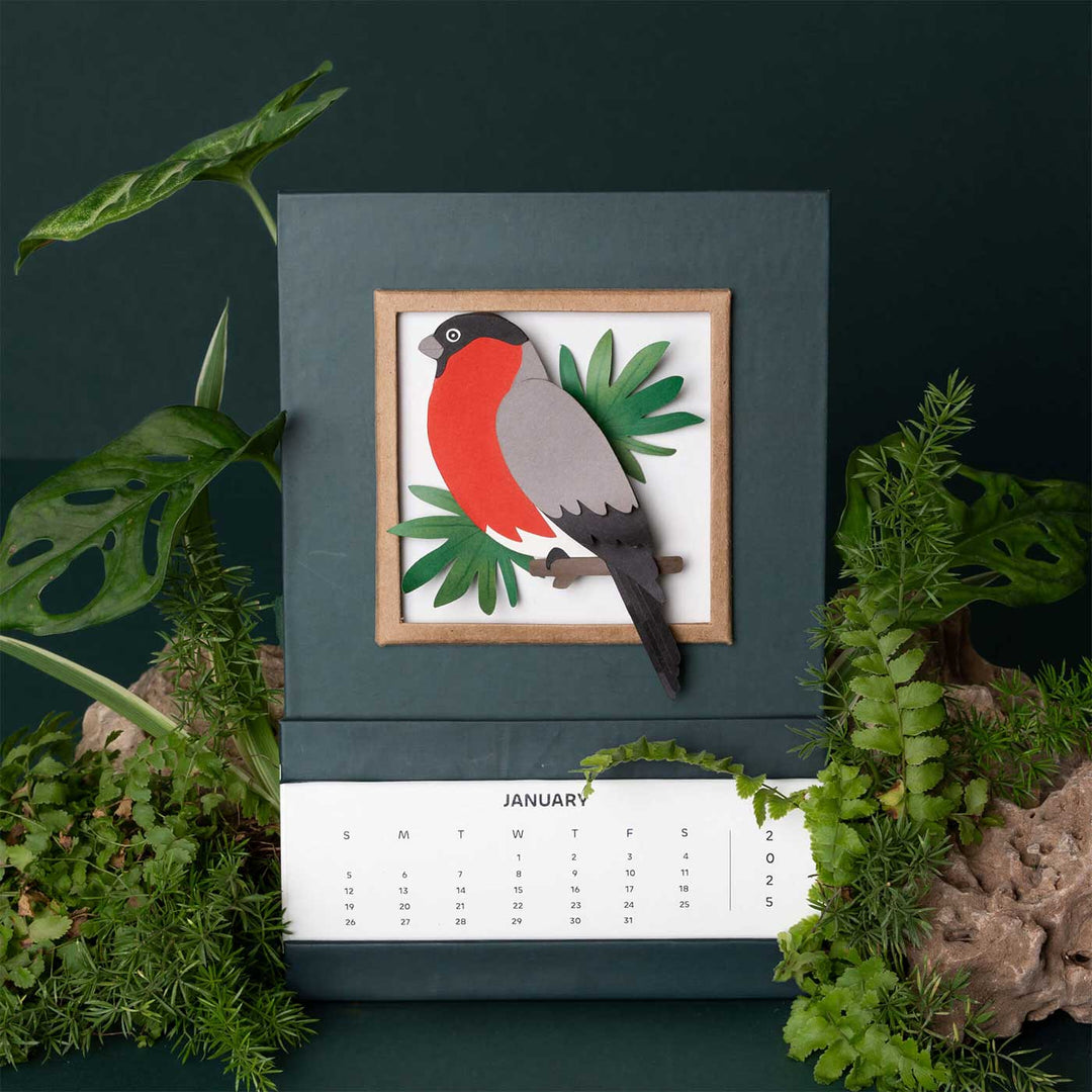 Handmade 3D Bullfinch Bird 2026 Desk Calendar