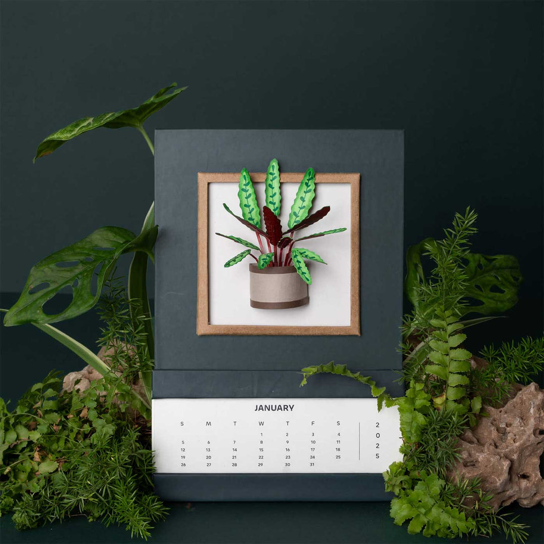 Handmade 3D Rattle Snake Plant 2026 Desk Calendar