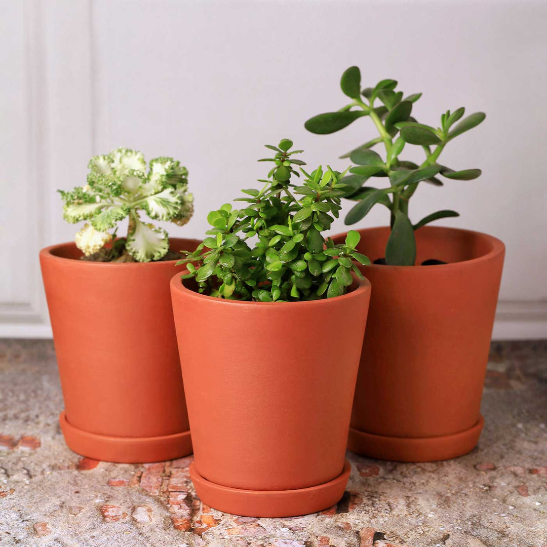 5.5 Inches | Handmade Medium Cone Shaped Terracotta Planter Pots | Set Of 3