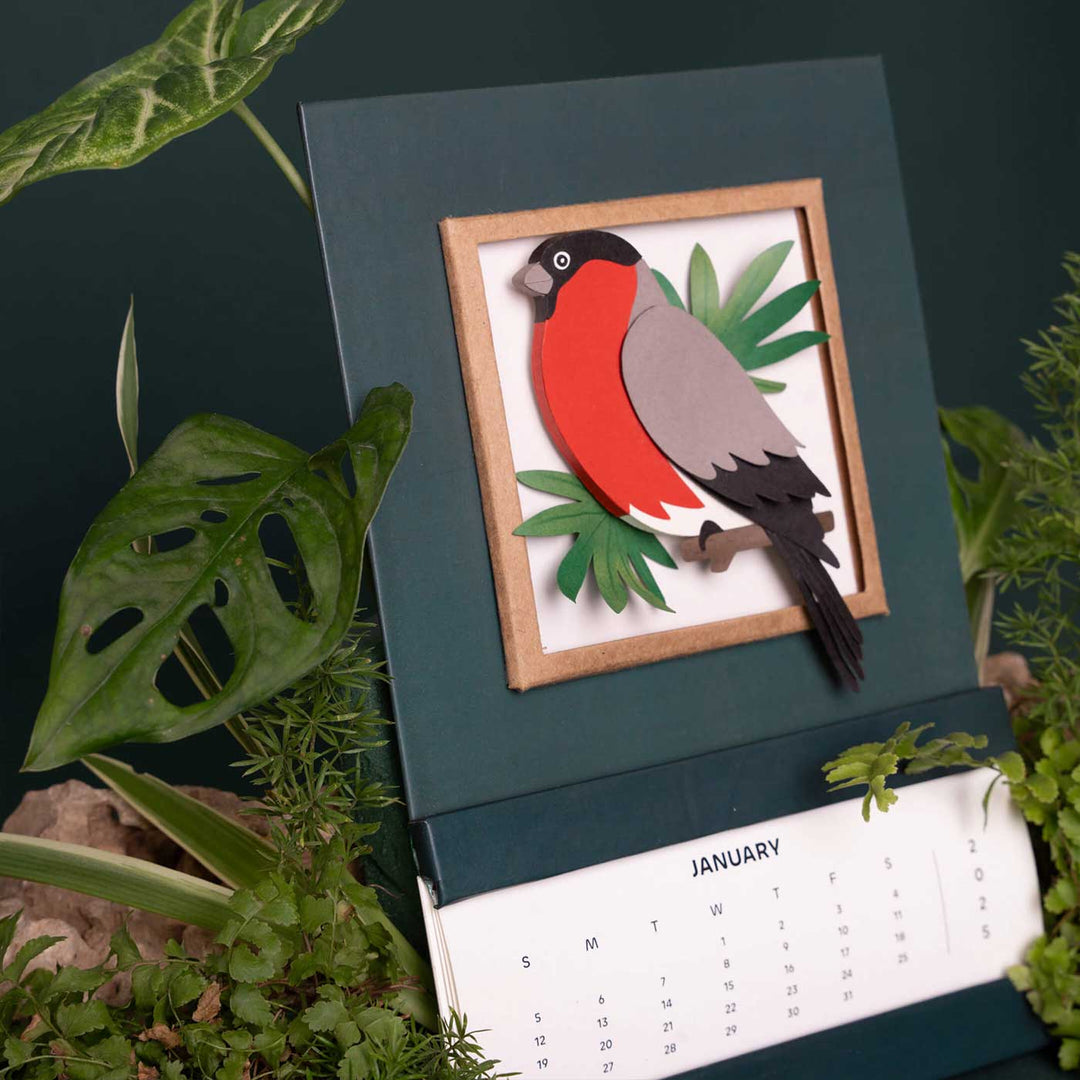 Handmade 3D Bullfinch Bird 2026 Desk Calendar