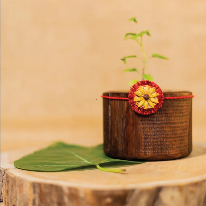 Akkad Bakkad Plantable Handmade Cork Sibling Rakhi Hamper With Roli Chawal - Rakhi on wooden pot with plant