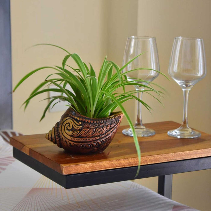 Handmade Sankh Shaped Terracotta Planter
