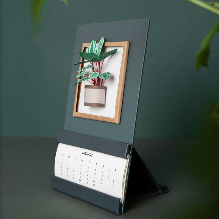 Handmade 3D Watermelon Peperomia Plant 2026 Desk Calendar