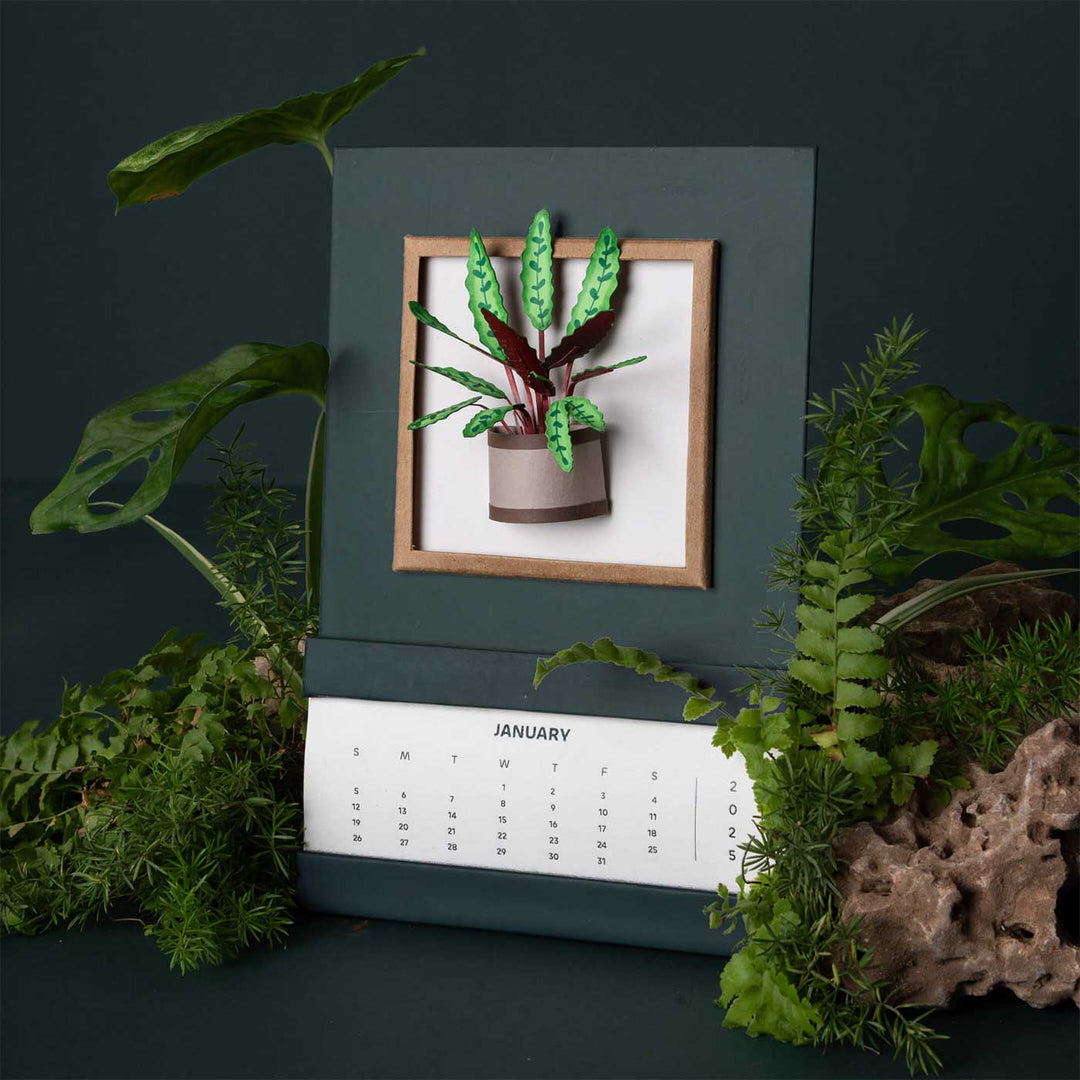 Handmade 3D Rattle Snake Plant 2026 Desk Calendar