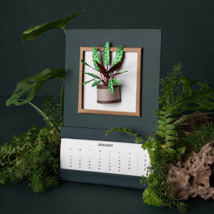Handmade 3D Rattle Snake Plant 2026 Desk Calendar