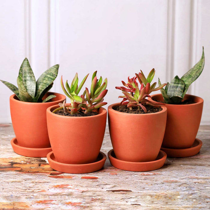 4.5 Inches | Handmade Small Hexane Shaped Terracotta Planter Pots | Set Of 4