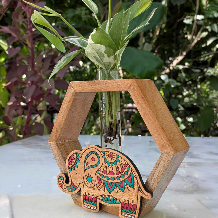 Hand-Painted Elephant Wooden Hexagon Test Tube Planter For Home Decor