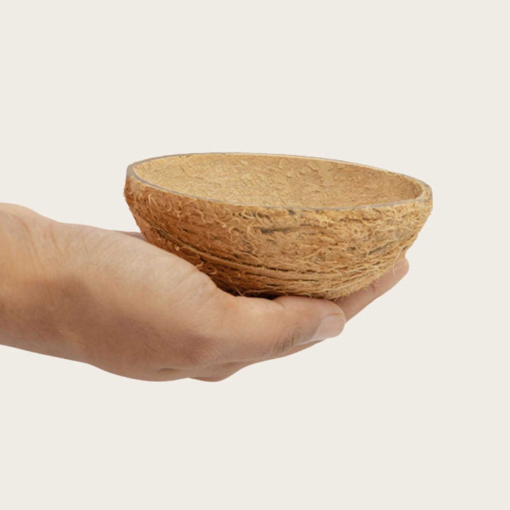 Eco-Friendly Handmade Oval Raw Coconut Shell Bowl | Set Of 15