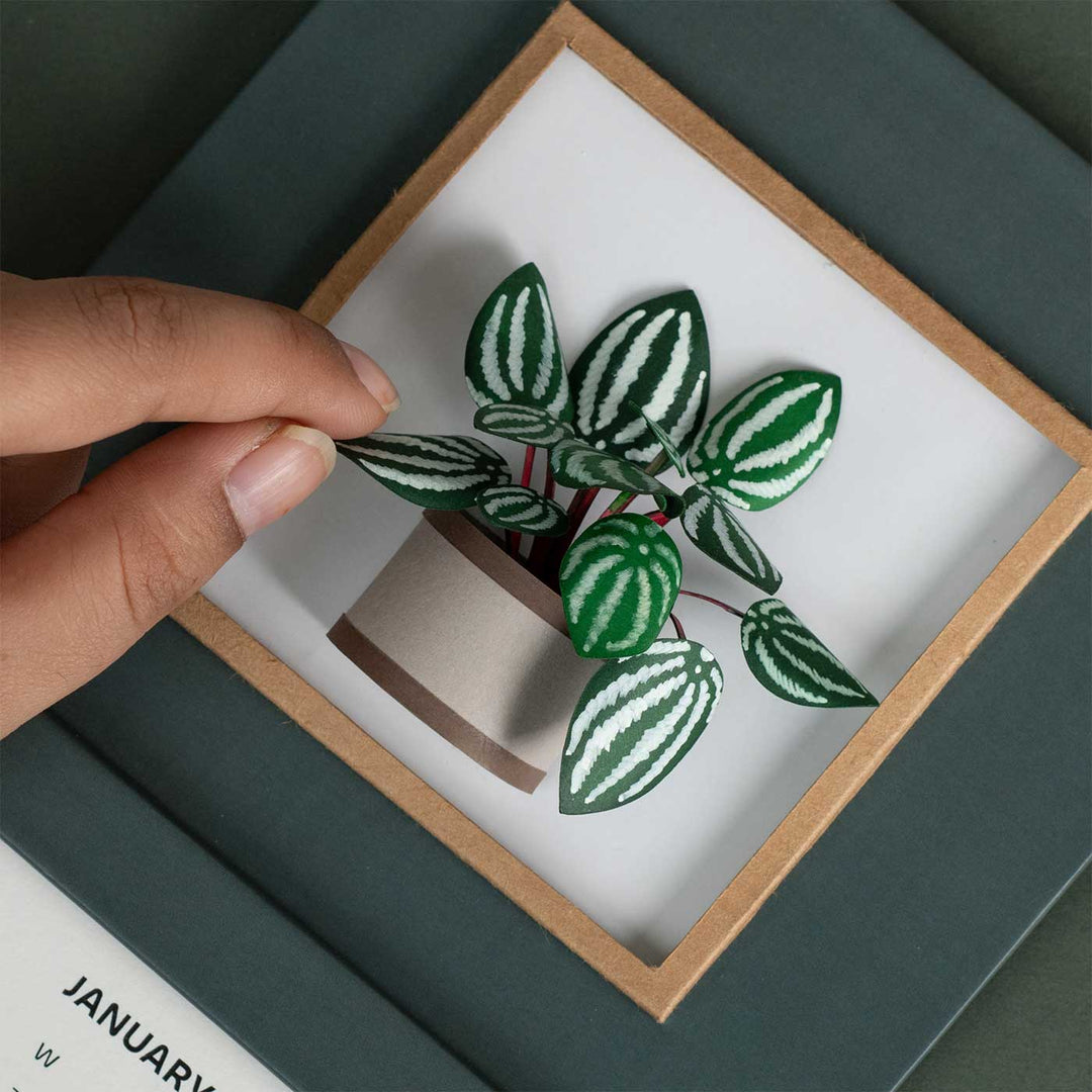 Handmade 3D Watermelon Peperomia Plant 2026 Desk Calendar