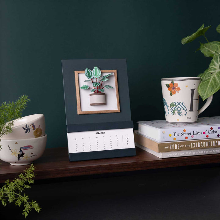 Handmade 3D Watermelon Peperomia Plant 2026 Desk Calendar