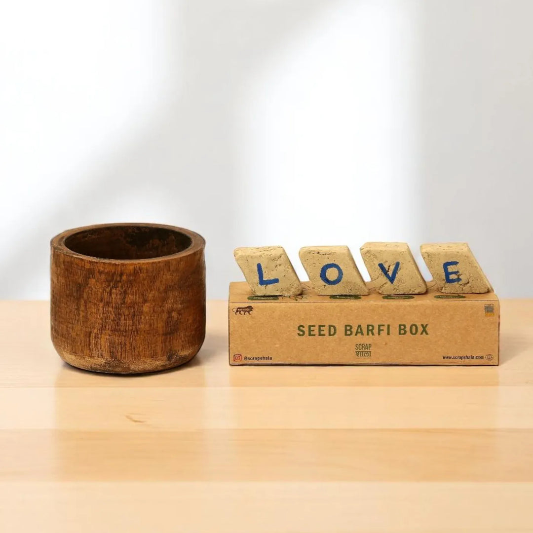 Nazarbattu Plantable Handmade Cork Rakhi Hamper With Roli Chawal 1 - Seed barfi with wooden planter