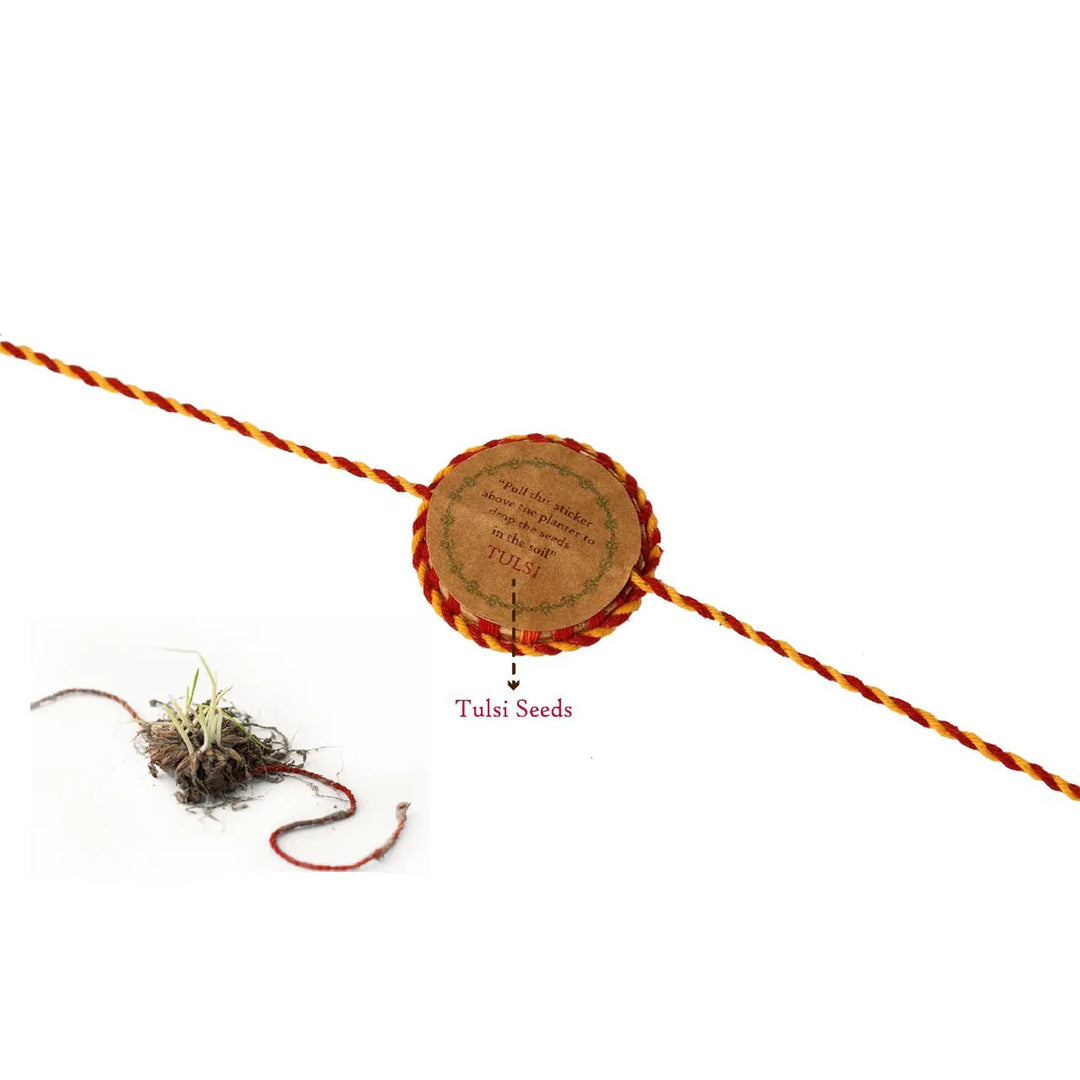 Akkad Bakkad Plantable Handmade Cork Sibling Rakhi Hamper With Roli Chawal - Rakhi with labeled Tulsi seeds