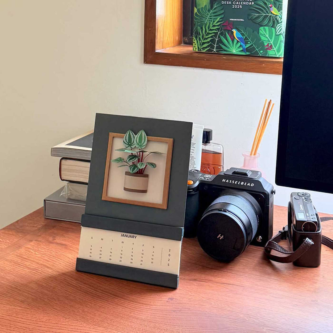 Handmade 3D Watermelon Peperomia Plant 2026 Desk Calendar