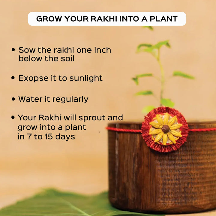 Akkad Bakkad Plantable Handmade Cork Sibling Rakhi Hamper With Roli Chawal - Growing instructions with Rakhi close-up