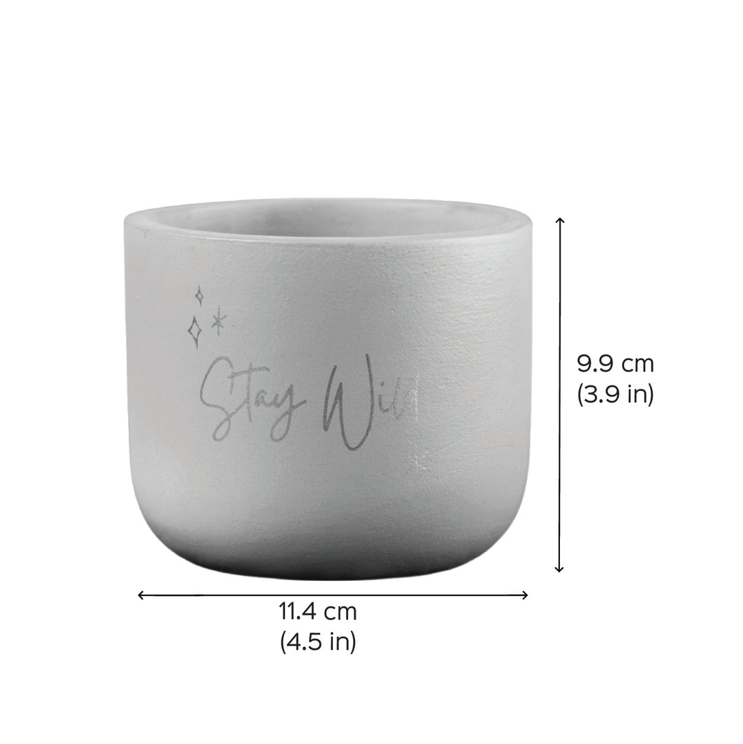 Stay Wild Terracotta Planter