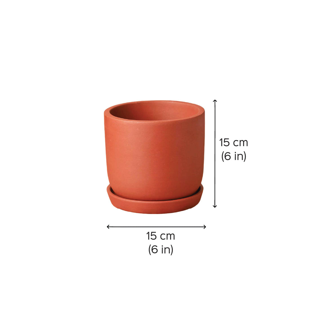 6 Inches | Handmade Autumn Terracotta Planter Pots | Set Of 3