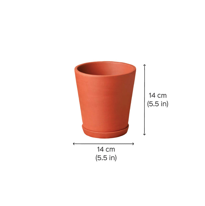 5.5 Inches | Handmade Medium Cone Shaped Terracotta Planter Pots | Set Of 3