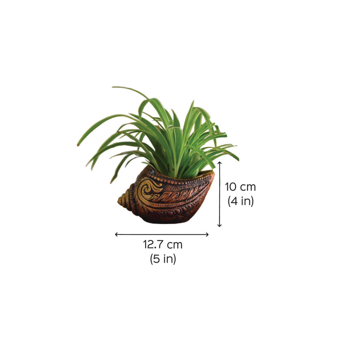 Handmade Sankh Shaped Terracotta Planter