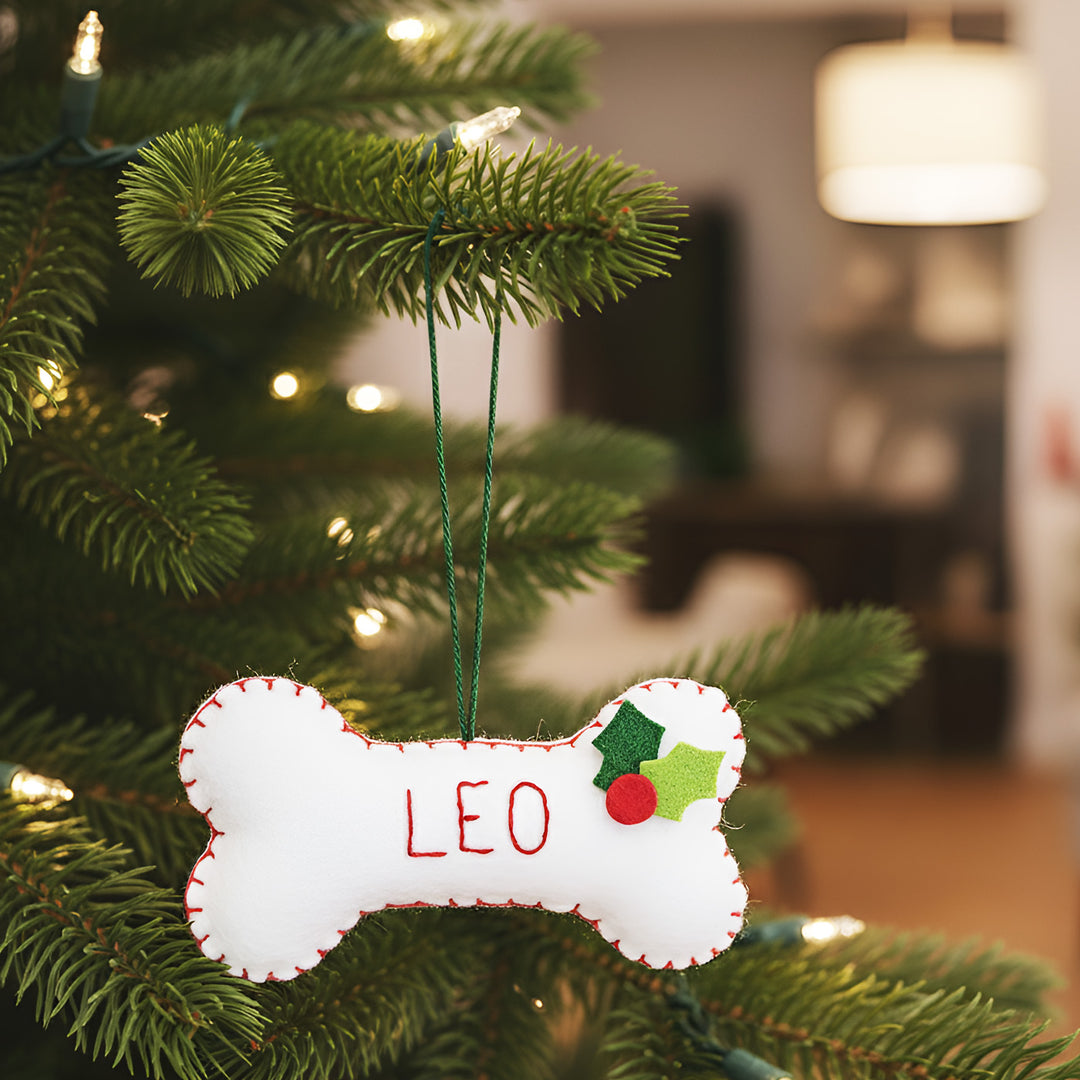Personalized Handmade Bone Theme Felt Christmas Ornament