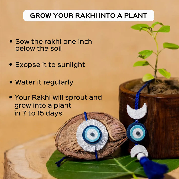 Nazarbattu Plantable Handmade Cork Rakhi Hamper With Roli Chawal 1 - Rakhi growth instructions with plant