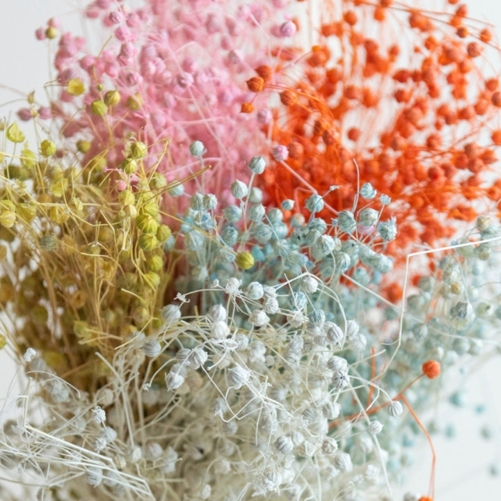 Handmade Colourful Lino Grass Dried Flower Bunch
