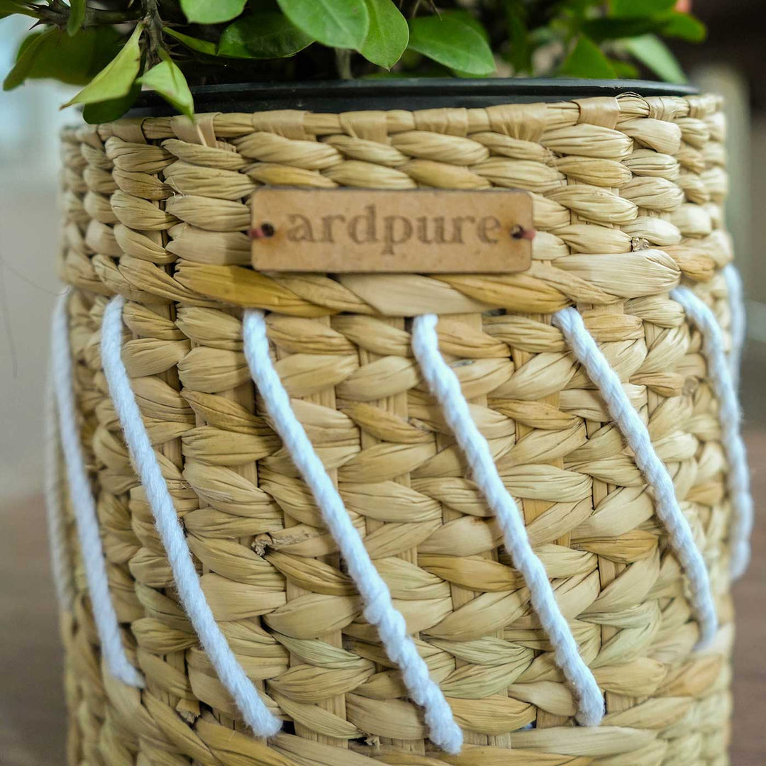 Handmade Yuri Water Reed Planter