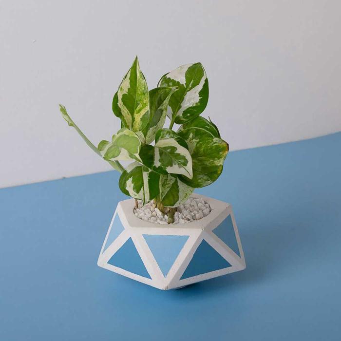 Floater Invertrix Planter - Blue