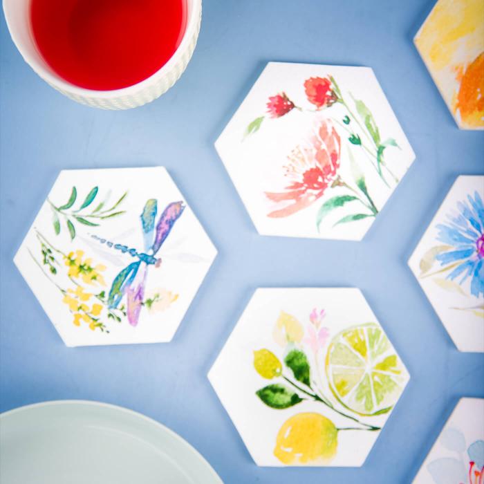 Floral & Fauna Coasters - Set of 6