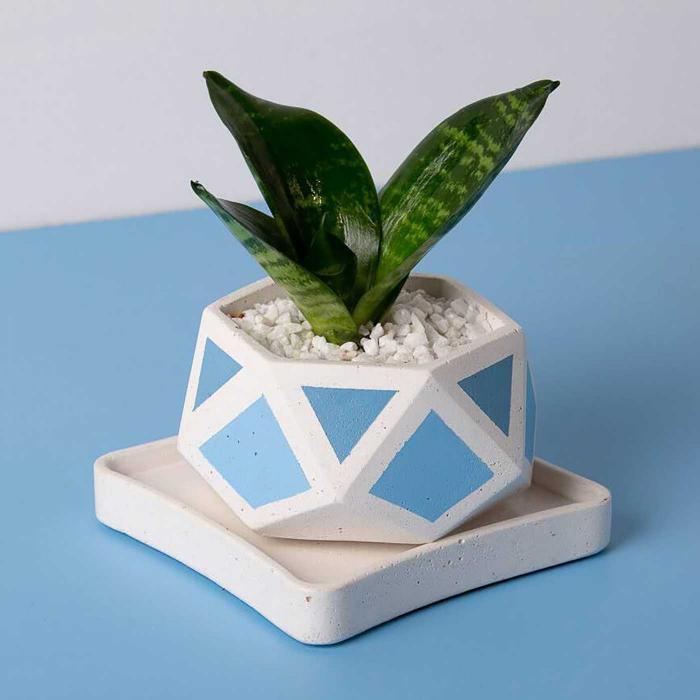Hexamont Invertrix Planter - Blue
