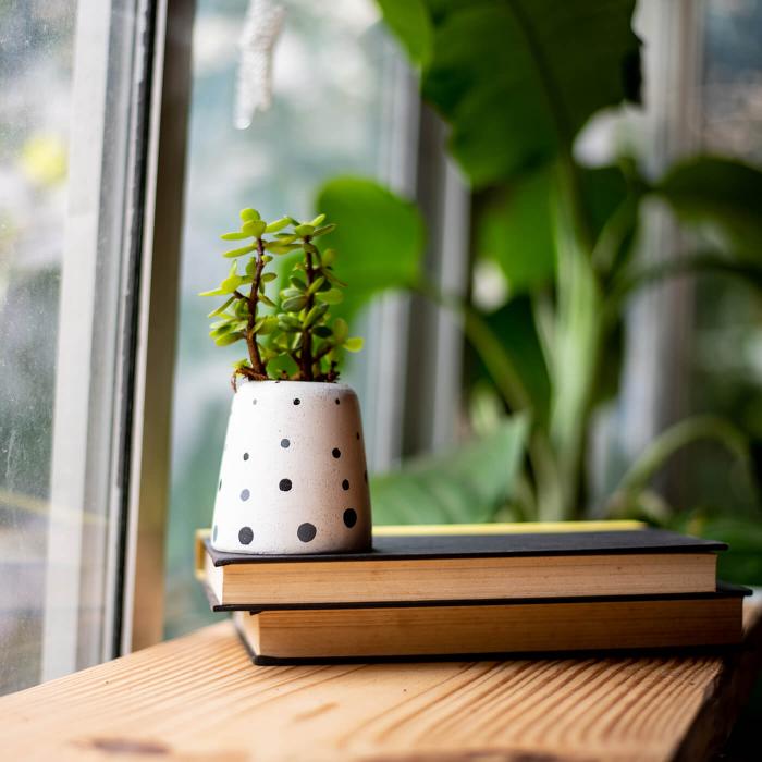 Ellip Planter with Dots - White