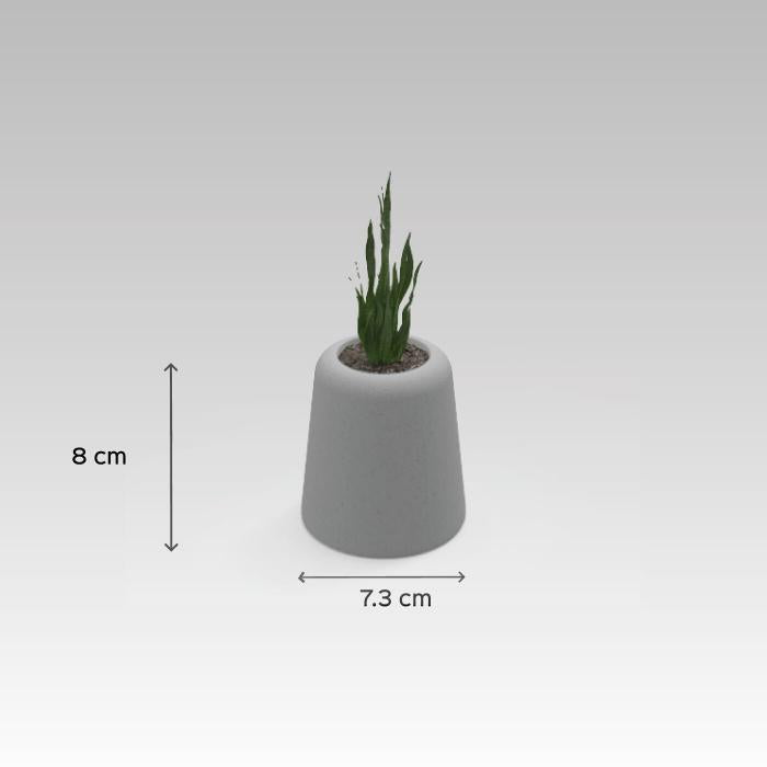 Ellip Planter with Dots - White
