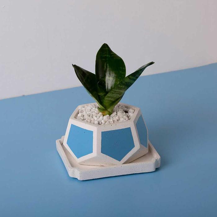 T-Mark Invertrix Planter - Blue