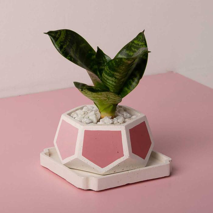 T-Mark Invertrix Planter - Pink