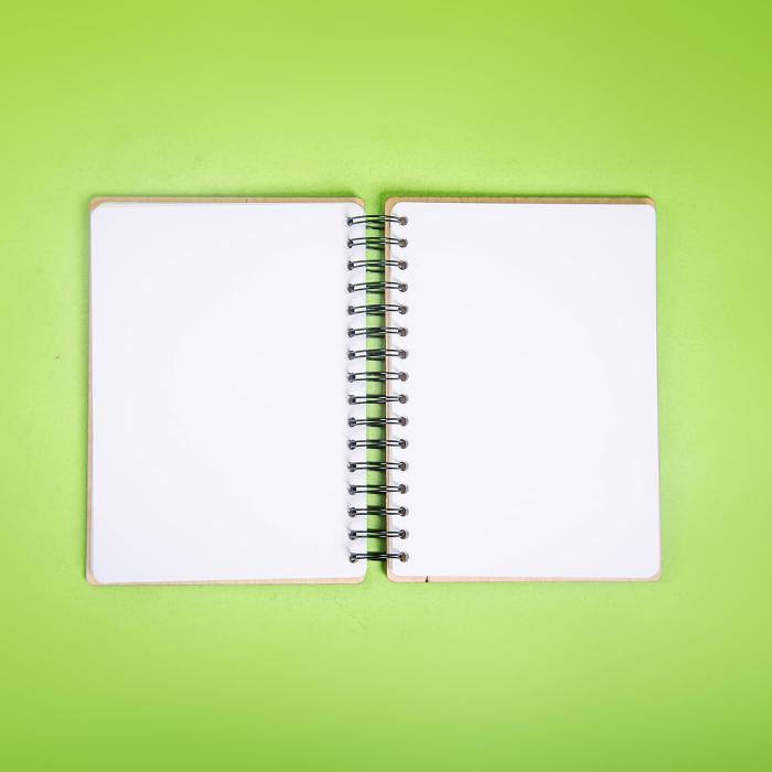 Dancer in Red & White Diary - A5 - The Indian Raga Collection