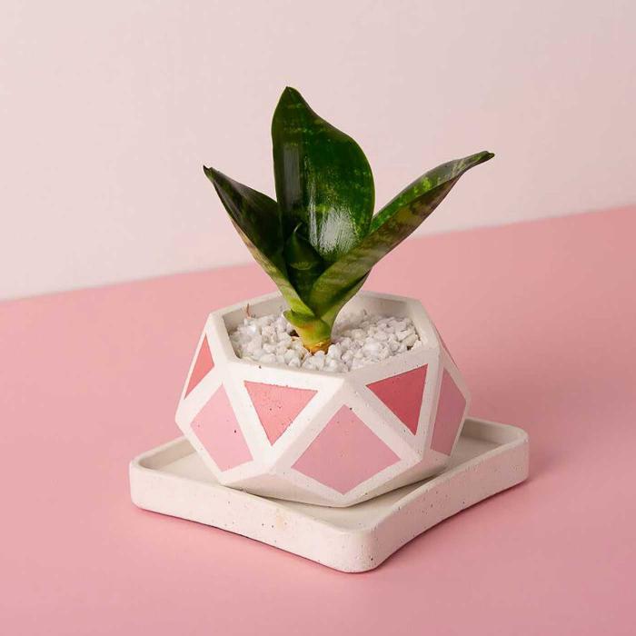 Hexamont Invertrix Planter - Pink