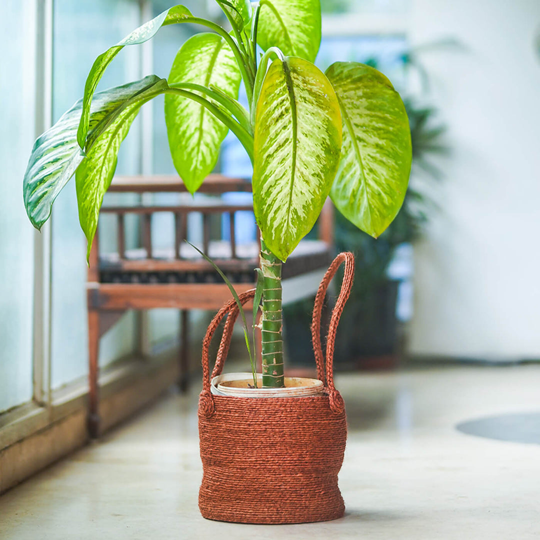 Handwoven Jute Bin with Long Handle