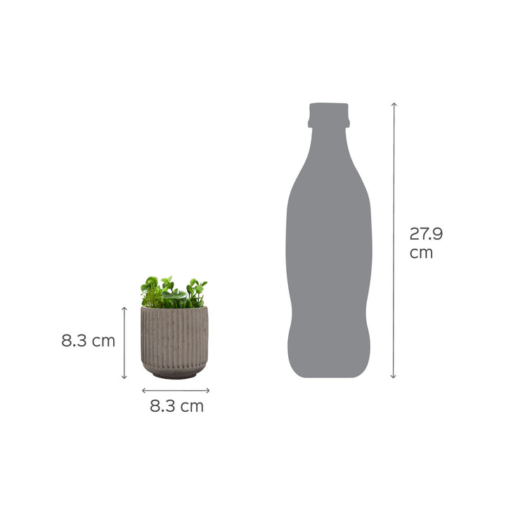Lipy Multi-Purpose Jar Grey