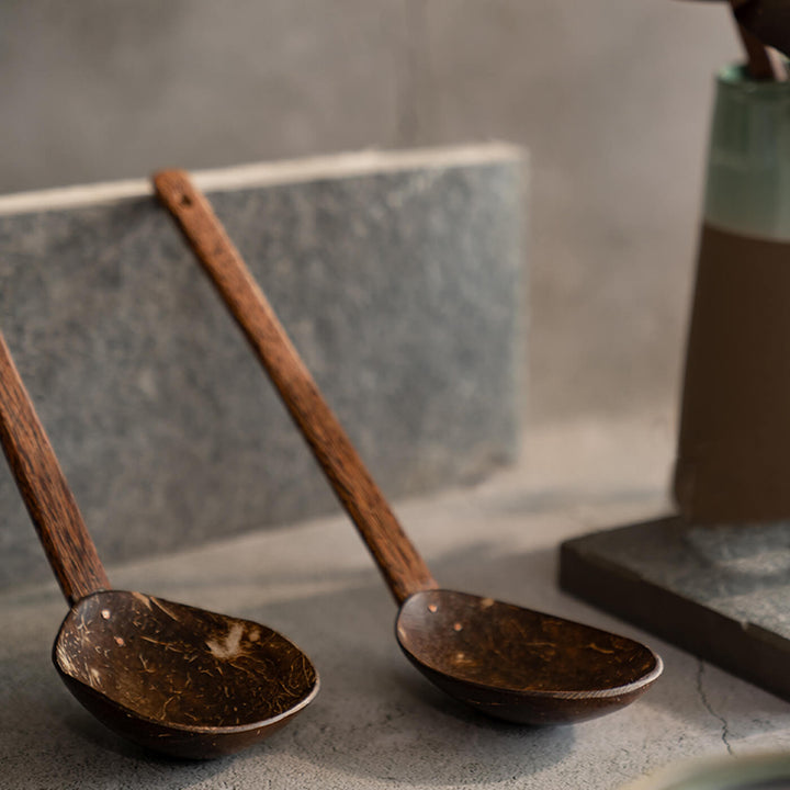 Coconut Shell and Wood Serving Spoons - Set of 2