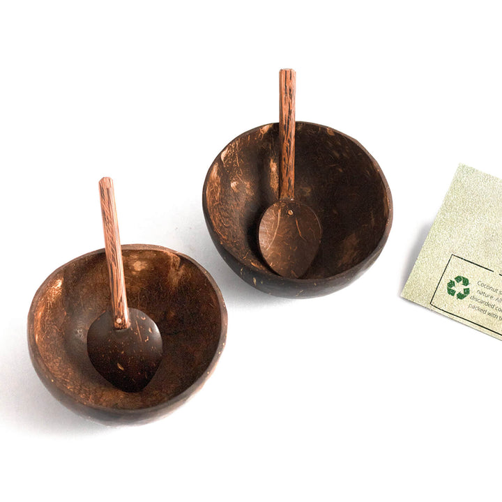 Coconut Shell Bowls and Spoons - Set of 2