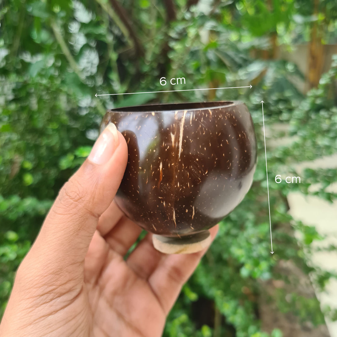 Personalized Coconut Shell Shot Glasses - Set of 4